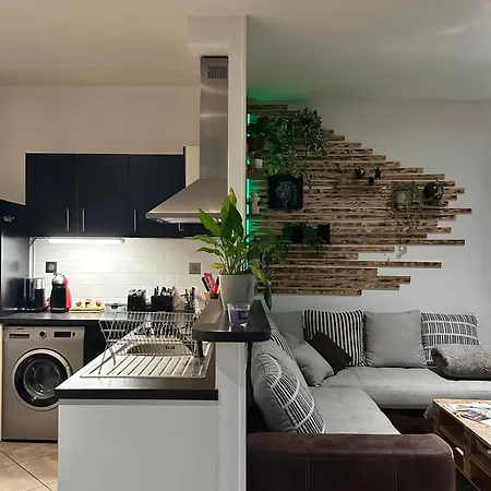 Chez Louis アパート サン・フルール